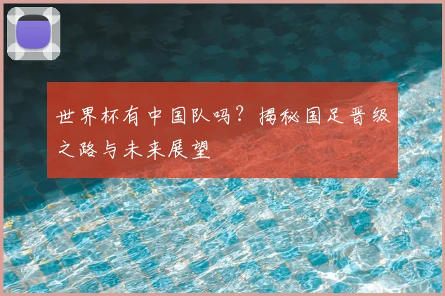 世界杯有中国队吗？揭秘国足晋级之路与未来展望