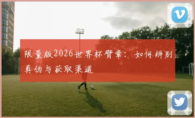 限量版2026世界杯臂章：如何辨别真伪与获取渠道